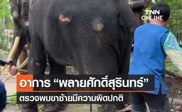 อัปเดตล่าสุดอาการ “พลายศักดิ์สุรินทร์” ตรวจพบขาซ้ายผิดปกติ 