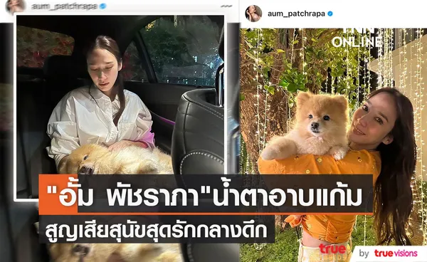 แห่ส่งกำลังใจ อั้ม พัชราภา ร้องไห้หนัก สูญเสียสุนัขที่รักดั่งลูก 