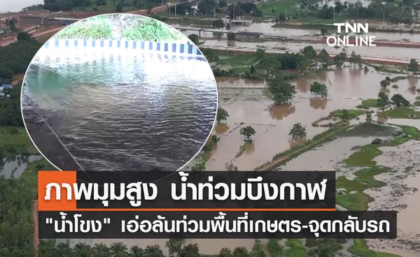 น้ำโขง สูงขึ้น! เอ่อล้นท่วมพื้นที่การเกษตร-จุดกลับรถ จ.บึงกาฬ