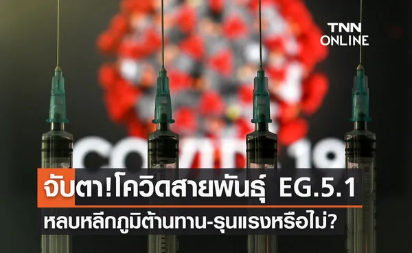 จับตา! โควิดสายพันธุ์ EG.5.1 แทนที่ XBB หลบหลีกภูมิต้านทาน-รุนแรงหรือไม่?