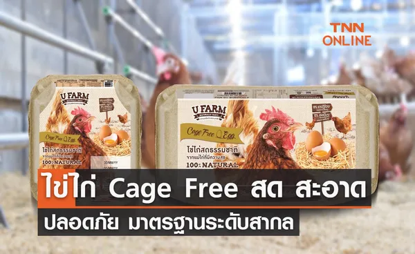 ซีพีเอฟ คัดสรร ไข่ไก่ Cage Free สด สะอาด ปลอดภัย มาตรฐานระดับสากล