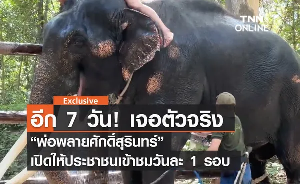 (คลิป) อีก 7 วัน! เจอตัวจริง “พ่อพลายศักดิ์สุรินทร์” เปิดให้ประชาชนเข้าชมวันละ 1 รอบ 