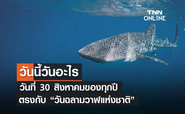 วันนี้วันอะไร วันที่ 30 สิงหาคม ถูกกำหนดให้เป็น วันฉลามวาฬแห่งชาติ