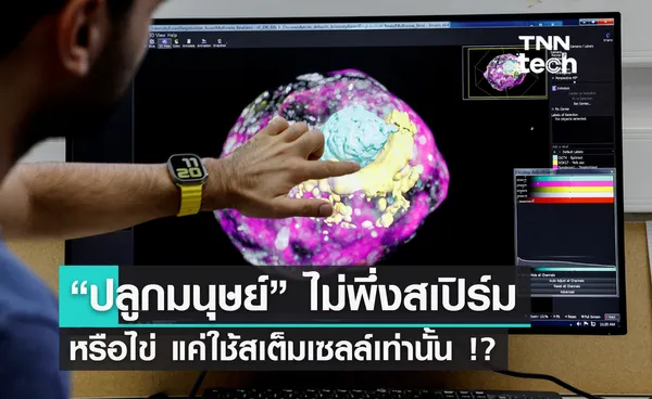 นักวิทย์อิสราเอลจำลองวิธี “ปลูกมนุษย์” โดยไม่ต้องพึ่งสเปิร์ม หรือไข่ แค่ใช้สเต็มเซลล์เท่านั้น