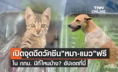 ฉีดฟรี! เปิดพิกัดฉีด วัคซีนพิษสุนัขบ้า-ทำหมัน ฟรี ในกทม.มีที่ไหนบ้าง