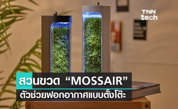 สวนขวด “MOSSAIR” เครื่องฟอกอากาศและเครื่องทำความชื้นแบบตั้งโต๊ะ