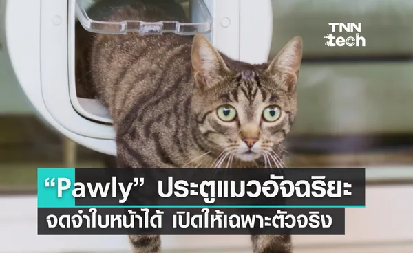 ประตูแมว Pawly Door ใช้เทคโนโลยีจำใบหน้าแมวป้องกันผู้บุกรุก