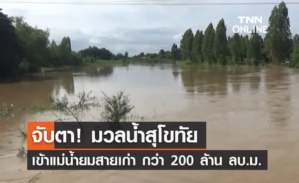 จับตา! มวลน้ำสุโขทัย เข้าแม่น้ำยมสายเก่า พิษณุโลก กว่า 200 ล้าน ลบ.ม. 