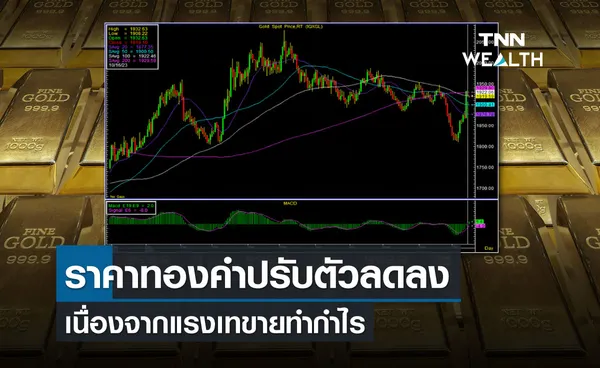 ราคาทองคำปรับตัวลดลง เนื่องจากแรงเทขายทำกำไร      