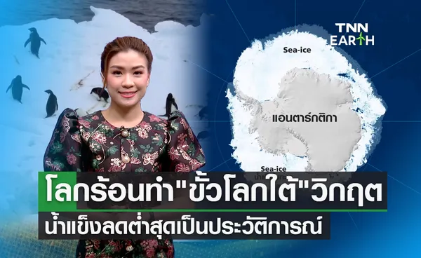 “ขั้วโลกใต้” วิกฤต น้ำแข็งลดต่ำสุดเป็นประวัติการณ์