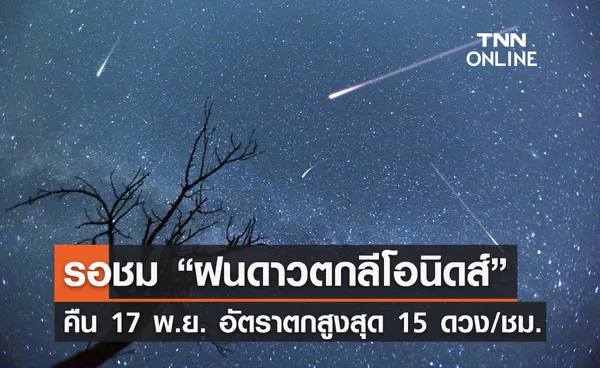 รอชม! ฝนดาวตกลีโอนิดส์ คืน 17 พ.ย.นี้ อัตราตกสูงสุด 15 ดวง/ชั่วโมง