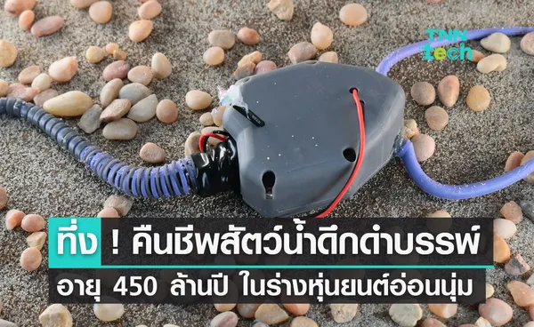 ทึ่ง ! คืนชีพสัตว์น้ำดึกดำบรรพ์อายุเกือบ 450 ล้านปี ในร่างของหุ่นยนต์อ่อนนุ่ม