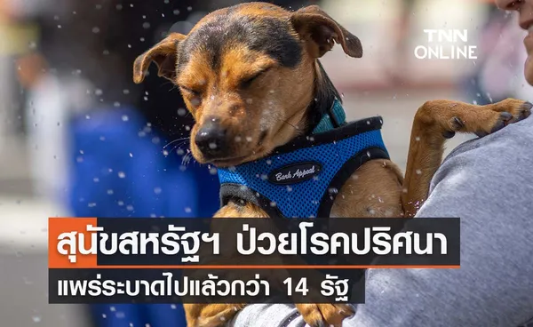 สุนัขในสหรัฐฯ ป่วยด้วยโรคปริศนา ระบาดแล้วกว่า 14 รัฐ