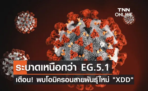 เตือน! พบโอมิครอนลูกผสมสายพันธุ์ใหม่ XDD แพร่ระบาดเหนือกว่า EG.5.1