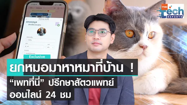 ยกหมอมาหาหมา ! “เพทที่นี่” บริการปรึกษาสัตวแพทย์ออนไลน์ 24 ชม.  | TNN Tech