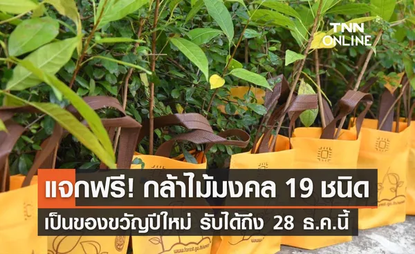 แจกกล้าไม้มงคล 19 ชนิด เป็นของขวัญปีใหม่ รับได้ถึง 28 ธันวาคมนี้