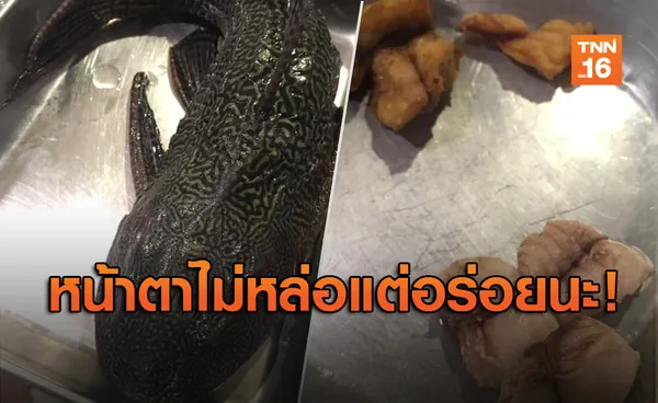 ลองไหม? รีวิวเมนู 'ปลาซัคเกอร์' เนื้อดี หนึบ คลุ้งกลิ่นสมุนไพร