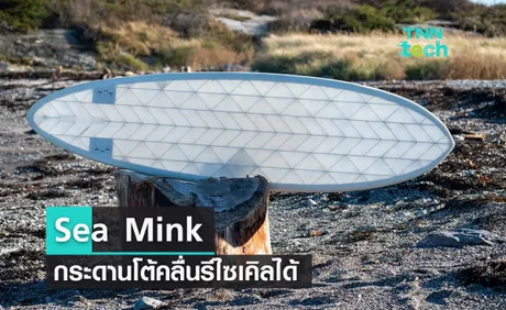 Sea Mink กระดานโต้คลื่นรีไซเคิลได้