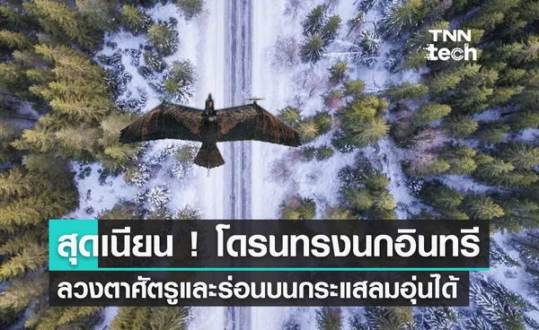 Evolution Eagle โดรนทรงนกอินทรี ลวงตาศัตรู และเลียนแบบการร่อนเพื่อประหยัดพลังงาน