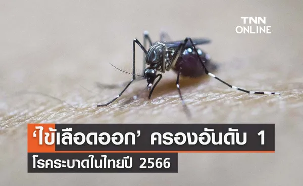 'ไข้เลือดออก' ครองอันดับ 1 โรคระบาดในไทยปี 66 