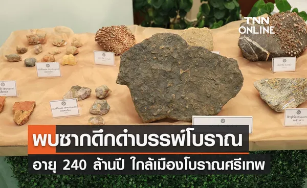 พบซากดึกดำบรรพ์สัตว์ทะเลโบราณ 240 ล้านปีใกล้ ‘เมืองโบราณศรีเทพ’    