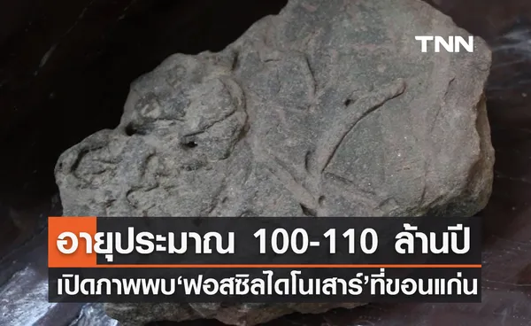 พบซาก ฟอสซิลไดโนเสาร์ อายุประมาณ 100-110 ล้านปีที่ขอนแก่น