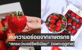 ดอยคำ ส่งตรงความอร่อยจากเกษตรกรบนยอดดอย “สตรอว์เบอร์รีพรีเมียม” (เฉพาะฤดูกาล)