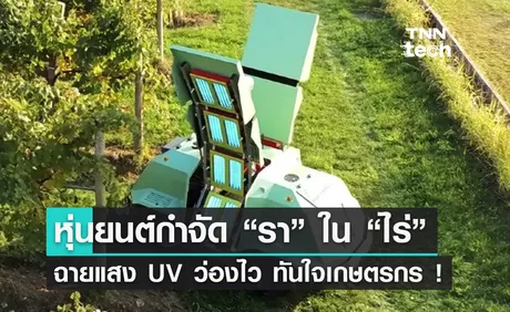 อิตาลีสร้างหุ่นยนต์ไล่ราในไร่องุ่น ฉาย UV ว่องไวทันใจเกษตรกร