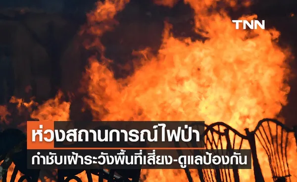 นายกฯ ห่วงสถานการณ์ไฟป่า กำชับหน่วยงานร่วมเฝ้าระวังพื้นที่เสี่ยง-ดูแลป้องกัน