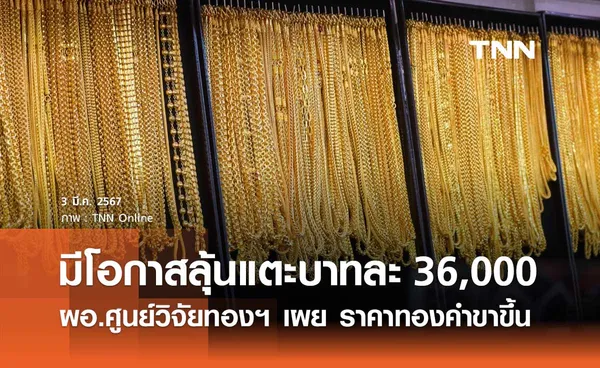 ทองคำขาขึ้น! มีโอกาสลุ้นแตะบาทละ 36,000 ภายในปีนี้ 