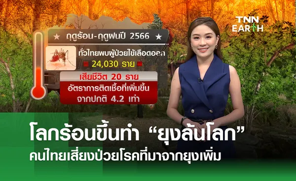 โลกร้อนขึ้นทำ “ยุงล้นโลก”  คนไทยเสี่ยงป่วยโรคที่มาจากยุงเพิ่ม