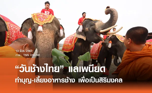 “วันช้างไทย” แลเพนียด ทำบุญ-เลี้ยงอาหารช้าง เพื่อเป็นสิริมงคล