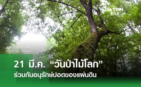 21 มี.ค. “วันป่าไม้โลก”  ร่วมกันอนุรักษ์ปอดของแผ่นดิน