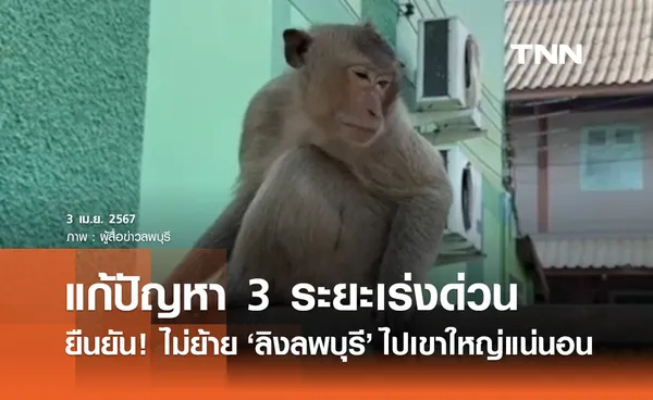 ลิงลพบุรี! กรมอุทยานแห่งชาติฯ ยืนยัน ไม่ย้ายไปเขาใหญ่แน่นอน