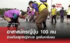 อาสาสมัครญี่ปุ่น 100 คน ช่วยกันปลูกหญ้าทะเล ดูดซับคาร์บอน