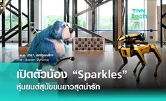 Boston Dynamics เปิดตัว “Sparkles” หุ่นยนต์สุนัขขนยาวสุดน่ารัก