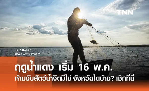 ฤดูน้ำแดง 2567 ห้ามจับสัตว์น้ำจืดมีไข่ เริ่ม 16 พ.ค. เช็กรายชื่อจังหวัดที่นี่