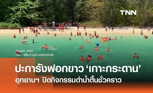 พิษปะการังฟอกขาว ‘เกาะกระดาน’ ประกาศปิดกิจกรรมดำน้ำตื้น 