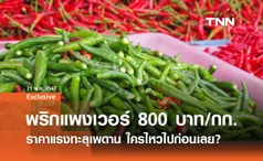 พริกขี้หนู 800 บาท/กก. ราคาแรงทะลุเพดาน! ผักธรรมดาที่แพงเกินเอื้อม