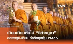 เวียนเทียนต้นไม้ “วิสาขบูชา” ลดเผาธูป-เทียน ก่อวิกฤตฝุ่น PM2.5