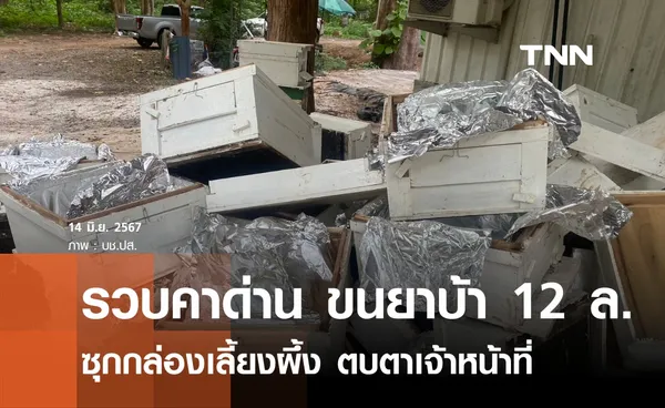 รวบคาด่าน ขนยาบ้า 12 ล้านเม็ด ซุกกล่องเลี้ยงผึ้ง 