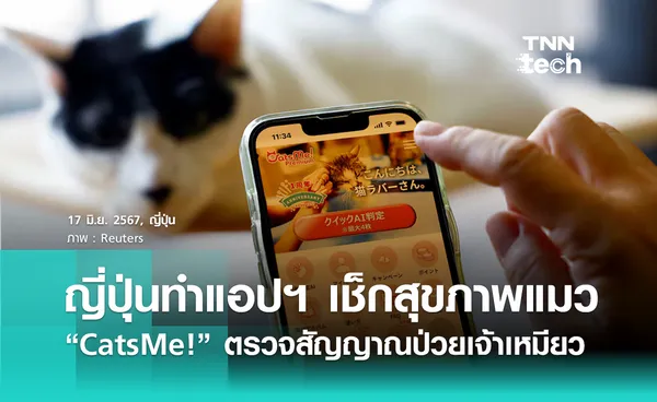 ญี่ปุ่นพัฒนาแอปฯ ตรวจสุขภาพแมว CatsMe! เช็กร่างกายน้องเหมียว