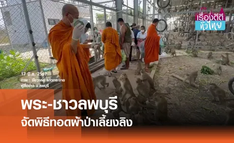 พระ-ชาวลพบุรี จัดพิธีทอดผ้าป่าเลี้ยงลิง 