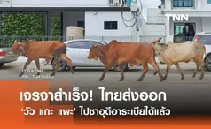  ​นายกฯ เจรจาสำเร็จ! ไทยส่งออก วัว แกะ แพะ ไปซาอุดีฯ ได้แล้ว