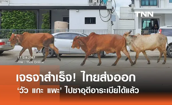  ​นายกฯ เจรจาสำเร็จ! ไทยส่งออก วัว แกะ แพะ ไปซาอุดีฯ ได้แล้ว