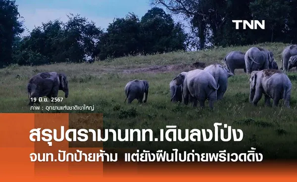 สรุปดรามา “นทท.ถ่ายพรีเวดดิ้งจุดดินโป่งเขาใหญ่” จนท.ตอบแล้วทำไมห้ามทำ! 