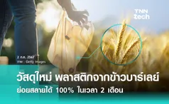 วัสดุใหม่ ! พลาสติกจากข้าวบาร์เลย์ ย่อยสลายได้ 100% ในเวลา 2 เดือน