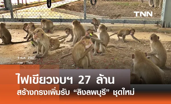 เคาะงบ 27 ล้านเสริมแกร่งกรงลิงลพบุรี 