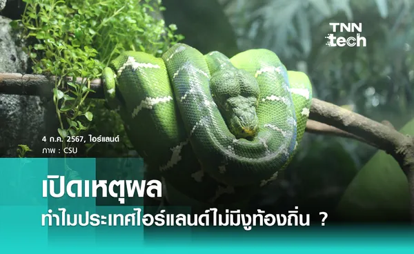 เปิดเหตุผล ทำไมประเทศไอร์แลนด์ไม่มีงูท้องถิ่น ?