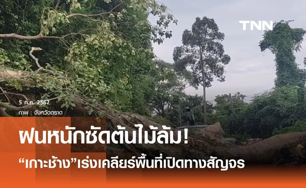 “เกาะช้าง”เคลียร์ทางต้นไม้ใหญ่ล้มขวางถนน 